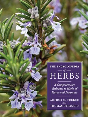 cover image of The Encyclopedia of Herbs